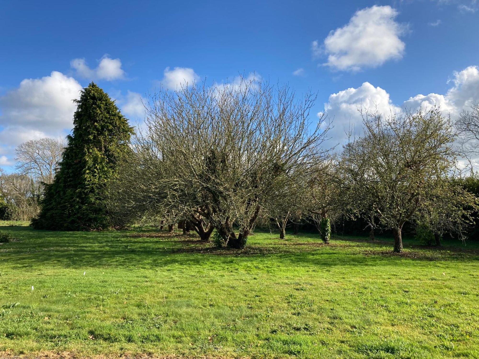 De Kermoal-location De Holiday home *