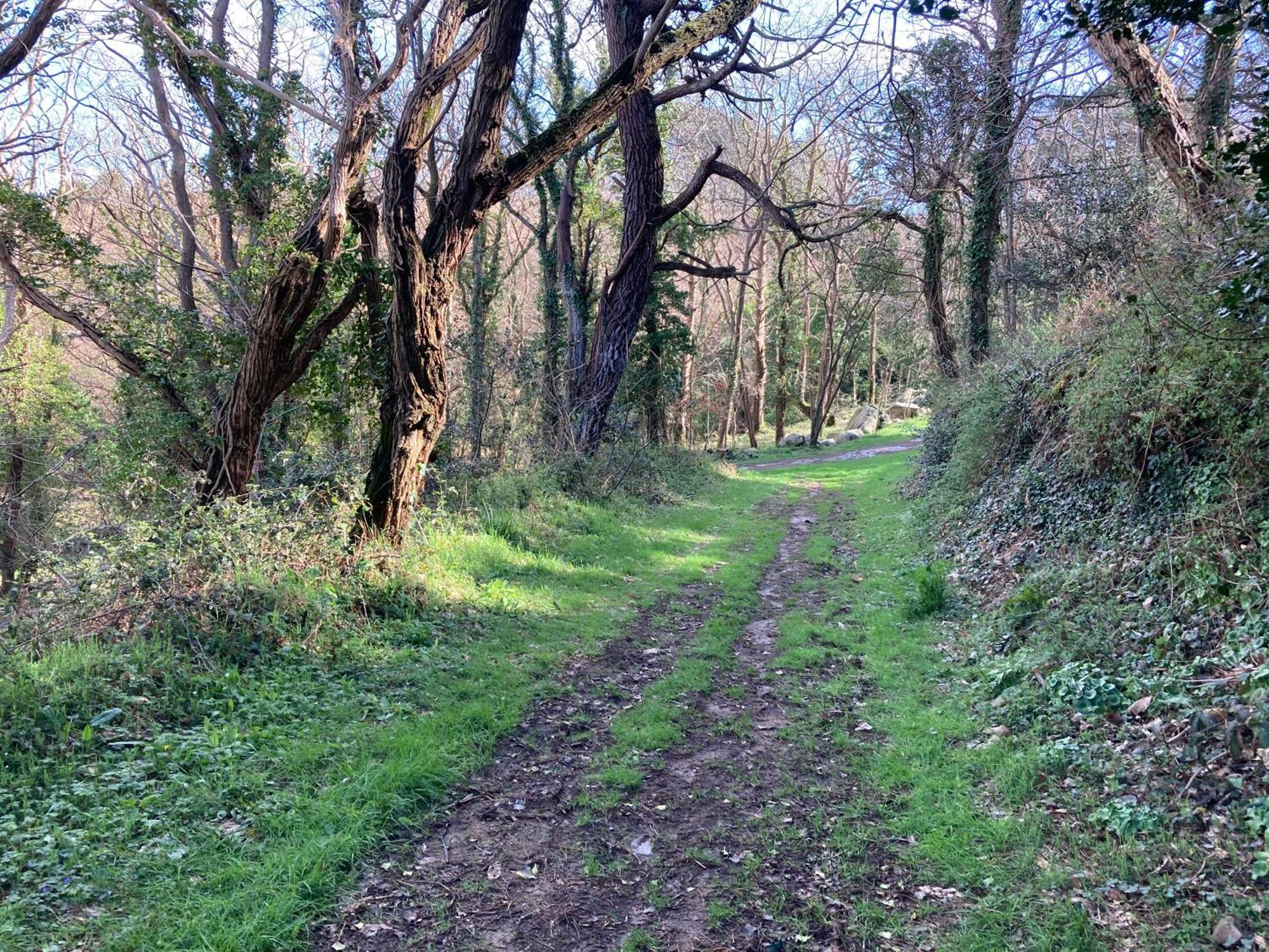 De Kermoal-location De Ferienhaus *